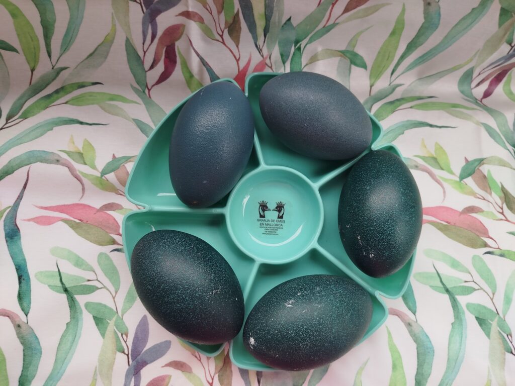 Plato con 5 huevos de emú